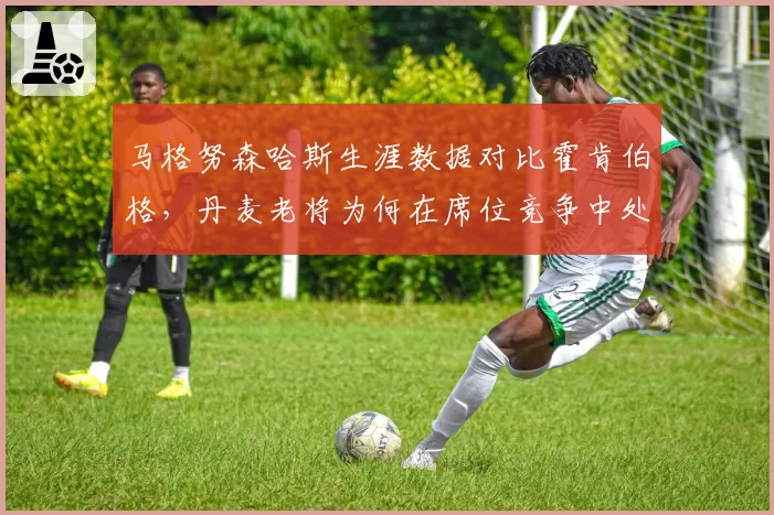马格努森哈斯生涯数据对比霍肯伯格,丹麦老将为何在席位竞争中处于劣势