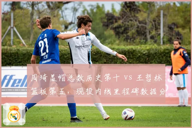 周琦盖帽总数历史第十 vs 王哲林篮板第五，现役内线里程碑数据分化