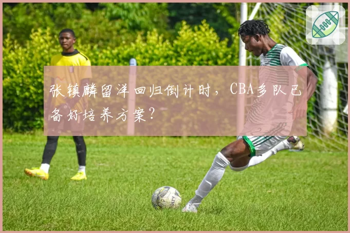 张镇麟留洋回归倒计时,CBA多队已备好培养方案?